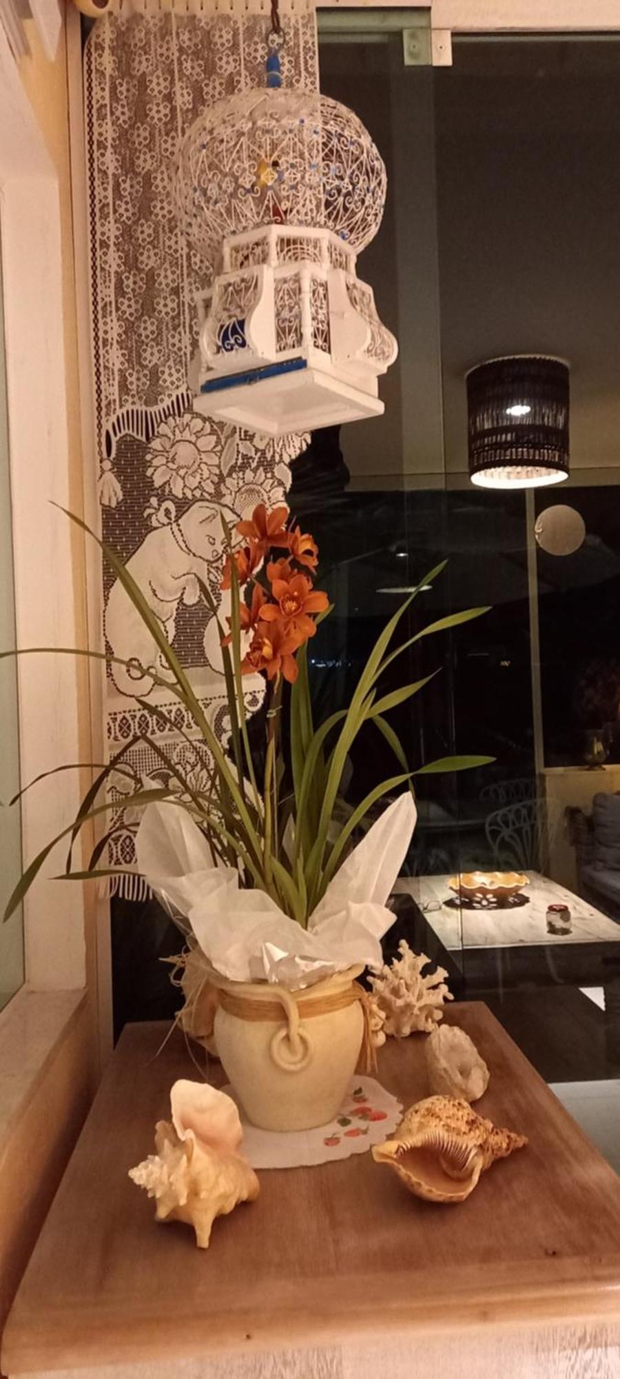 BúziosLa Tropezina别墅 客房 照片